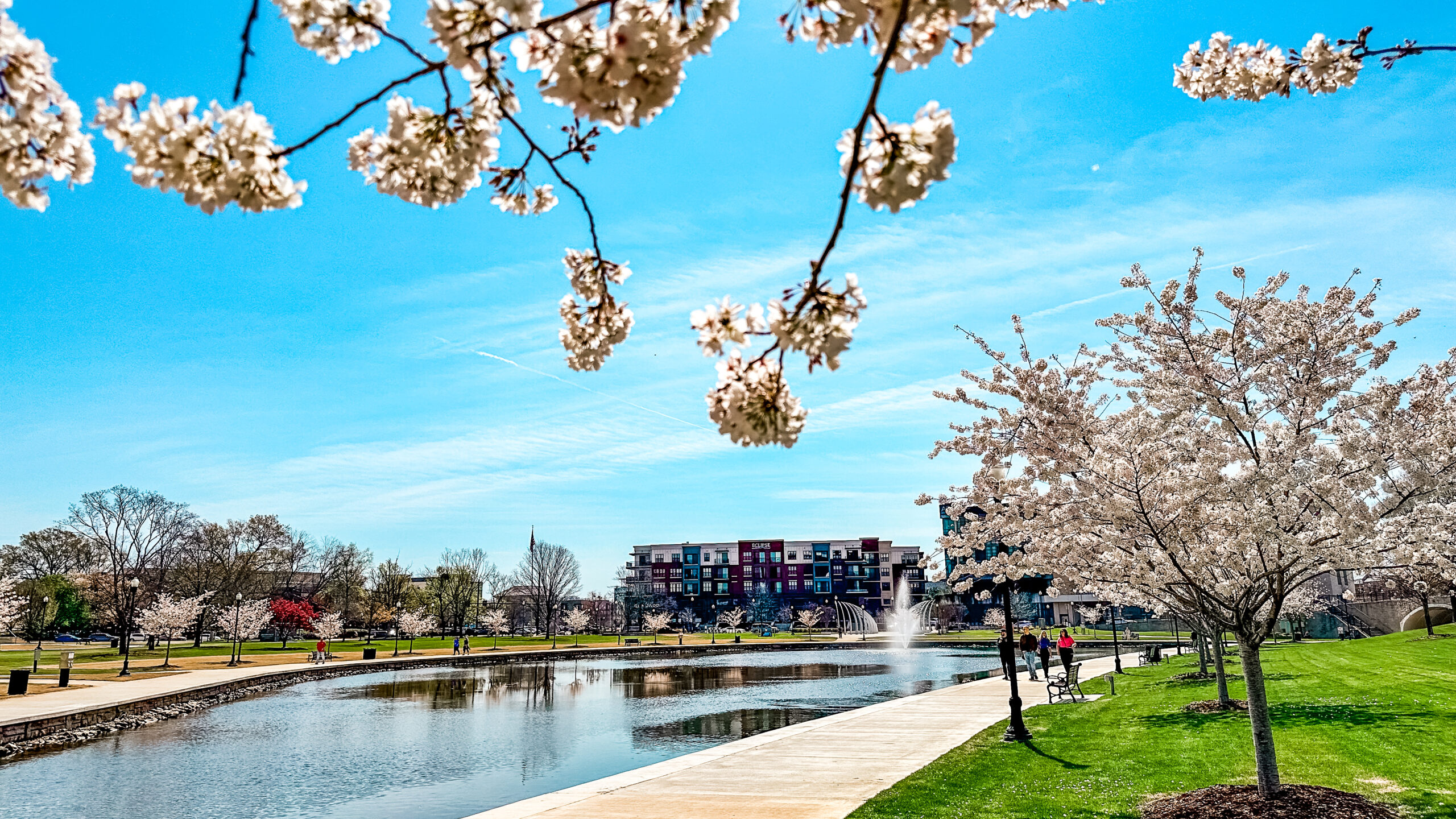 Huntsville Cherry Blossoms in Spring. Photo by TryHuntsville